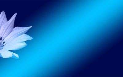 Notice of 2017 Annual General Meeting