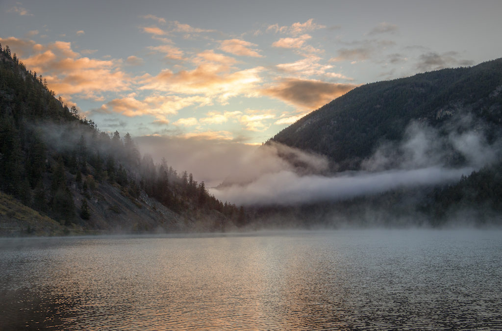 OUR MAID JOURNEYS: A MAiD Virtual Support Group