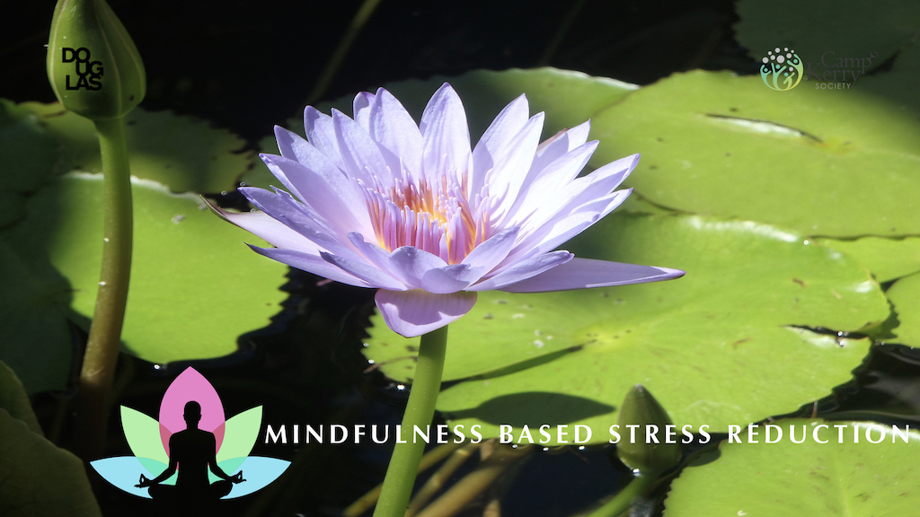 Mindfulness Based Stress Reduction