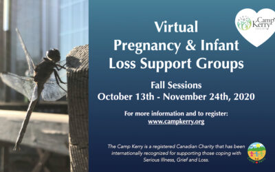Virtual Pregnancy and Infant Loss Support Groups