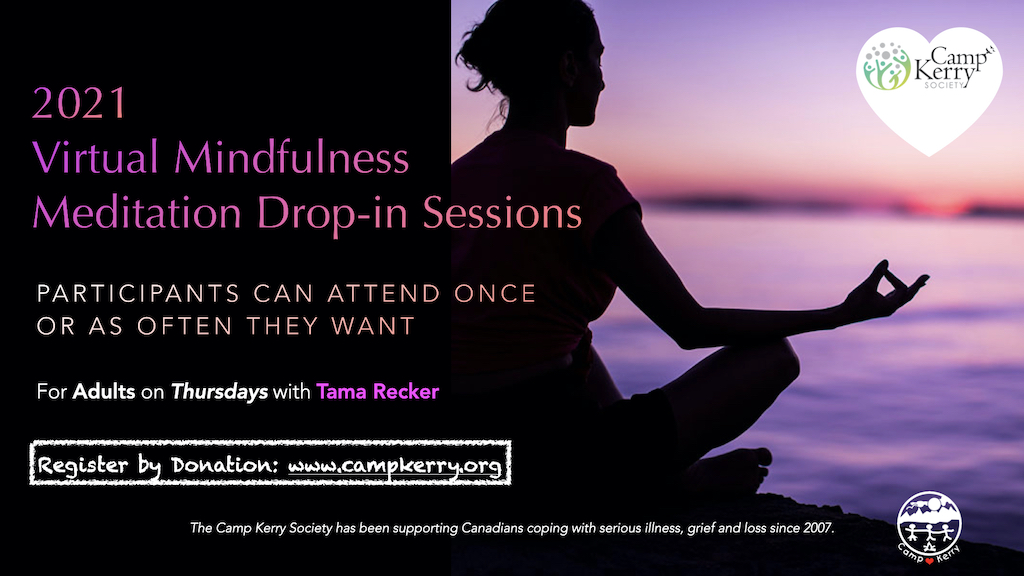 Virtual Mindfulness Meditation Drop-in