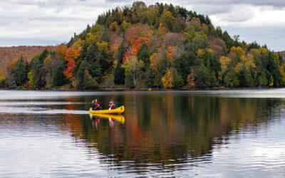 Programming Fall 2024