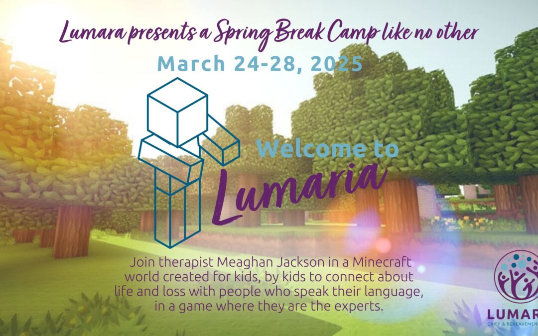 Minecraft Virtual Spring Break Camp